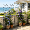 4 Pack Metal Garden Trellis 71" x 19.7" Rustproof Trellis for Climbing Plants Outdoor Flower Support Bird Deco Black