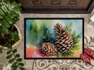 NEW Maine White Pine Cone and Tassels in Watercolor Doormat Front Door Mat Indoor Outdoor Rugs for Entryway, Non Slip Washable Low Pile, 18H X 27W
